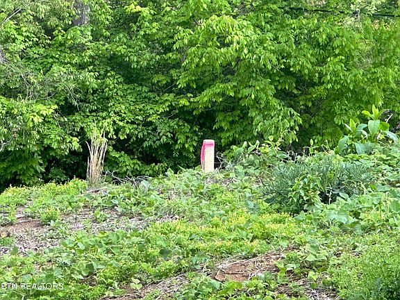 4th image of 13677 Chapman Hwy