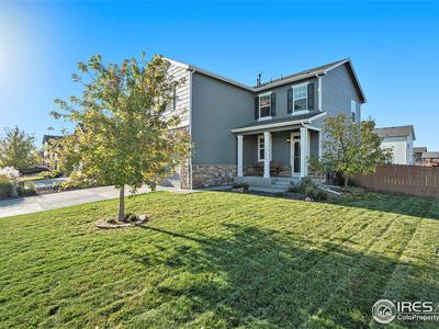 1529 Highfield Ct, Windsor, CO, 80550