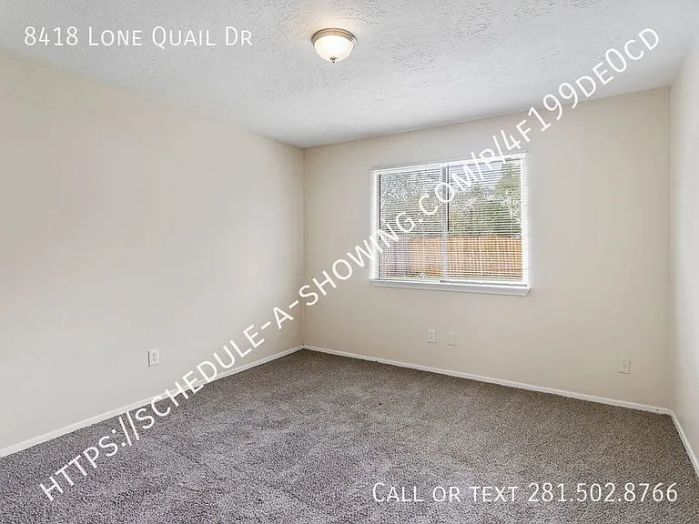 8418 Lone Quail Dr — Photo 10