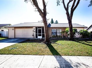 1221 Callista Ave, Valrico, FL 33596