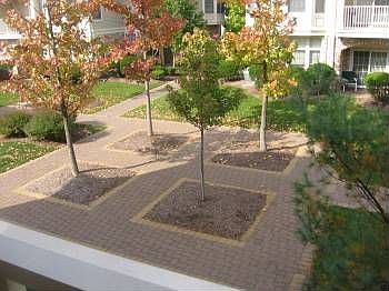 3rd image of 610 Turlington Ct