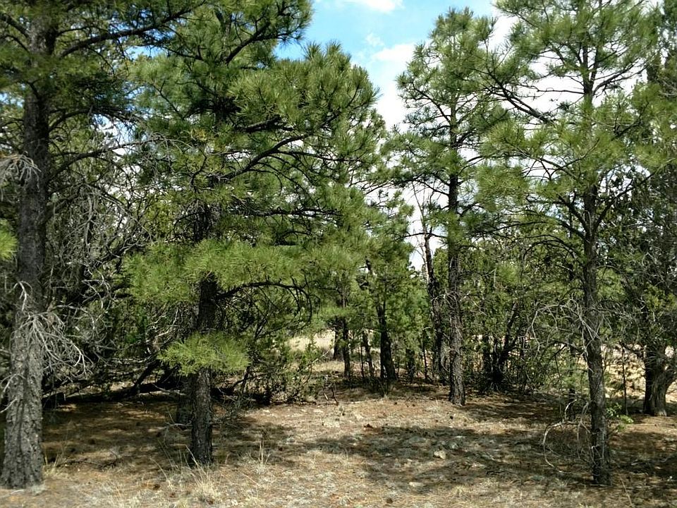 2nd image of 6541 Whispering Pine Dr