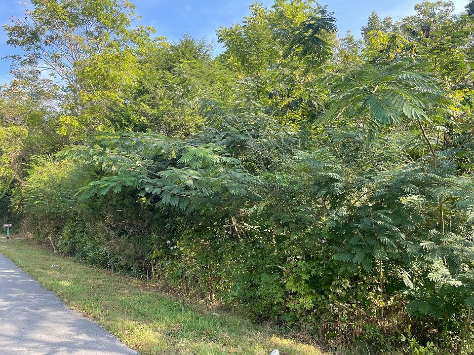 2nd image of 1391 Cartwright Loop