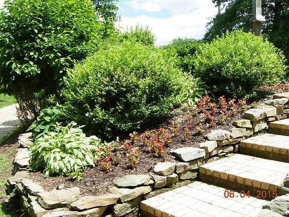 Front Stairway to House