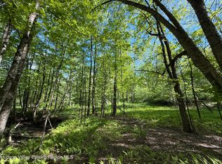 383 Ferndale Loomis Rd, Liberty, NY 12754