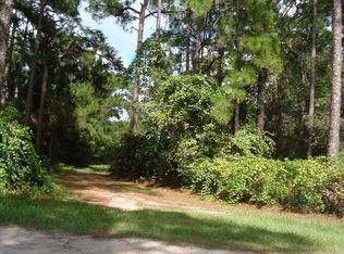 22396 Loop Rd, Groveland, FL 34736