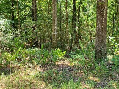 0 Vineyard Rd, Folsom, LA, 70437