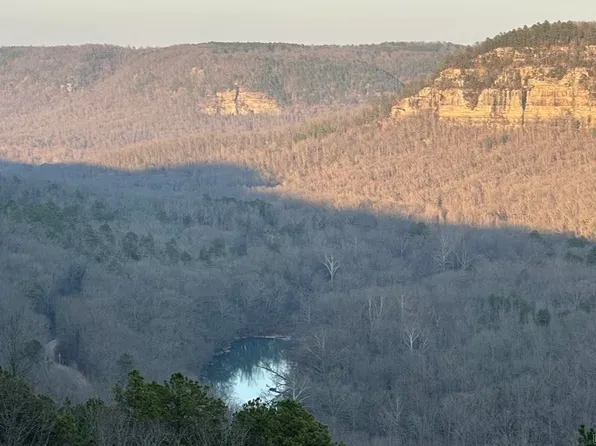 3514 Angora Mountain Rd, Leslie, AR 72645