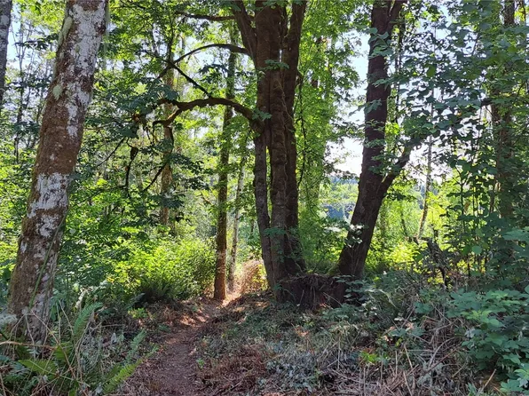 0 Loop Lot 2 Road, Centralia, WA 98531