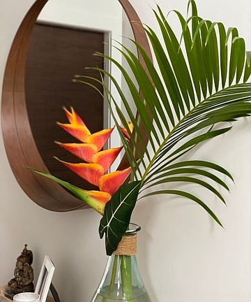 5th image of 58-346 Kamehameha Hwy #A