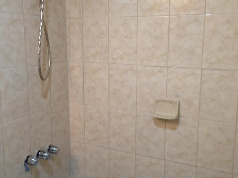 Shower and tub in bathroom.