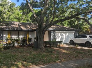 3041 Egret Ter, Safety Harbor, FL 34695