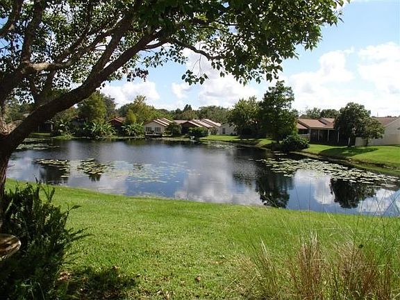 Pond view
