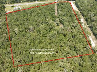 1234 NE 389th Ave, Old Town, FL 32680