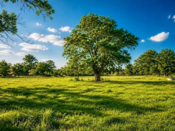 0 County Road 42, Rosharon, TX 77583