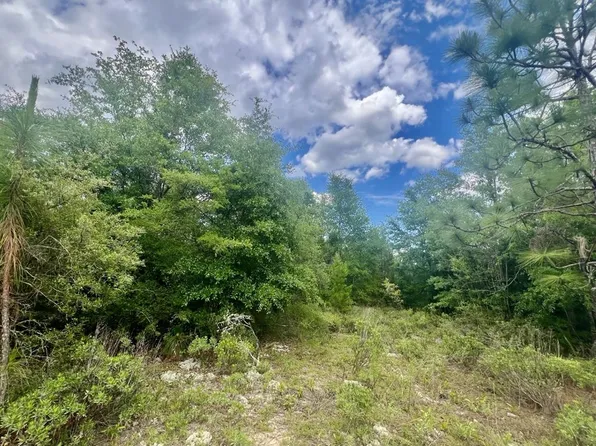 LOT 96 Ottawa Ct, Alford, FL 32420