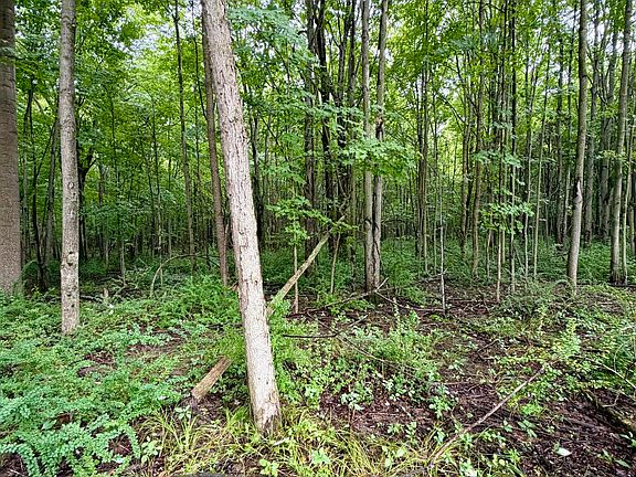 2nd image of LOT 6 Christopher Ln