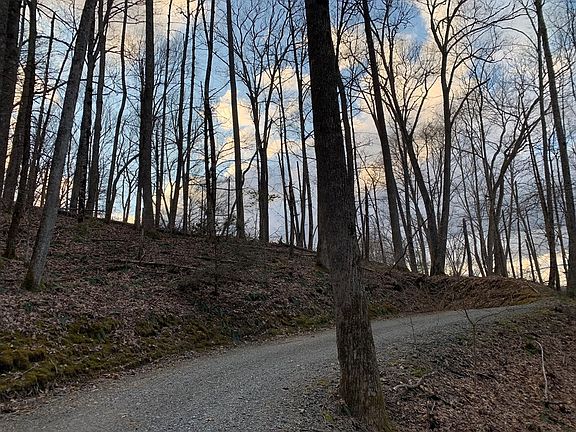 2nd image of Dogwood Dr