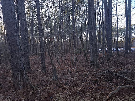 2nd image of 0 Dorsey Dr