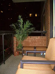 Rented by Mercedes Berk