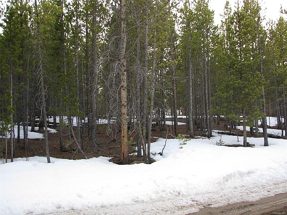 2nd image of 492 Lodge Pole Dr