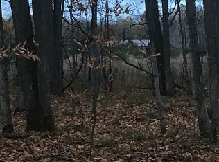 9998 W Cameron Bridge Rd, Frederic, MI 49733