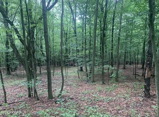 LOT 28 Murnin Rd, Lake Ariel, PA 18436