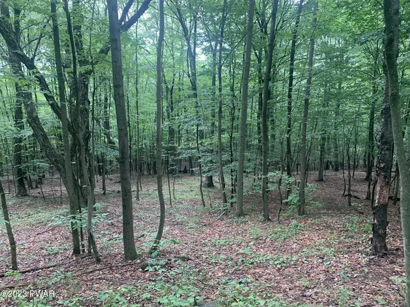 LOT 28 Murnin Rd, Lake Ariel, PA 18436