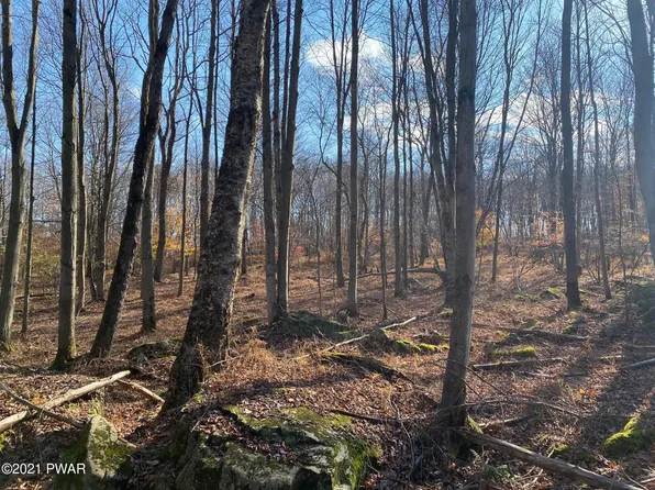 Hemlock Rd, Waymart, PA 18472