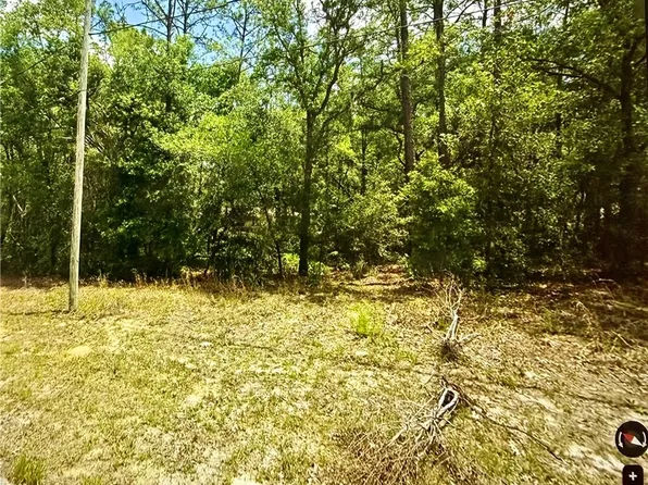 11303 N Schult Ter, Citrus Springs, FL 34434