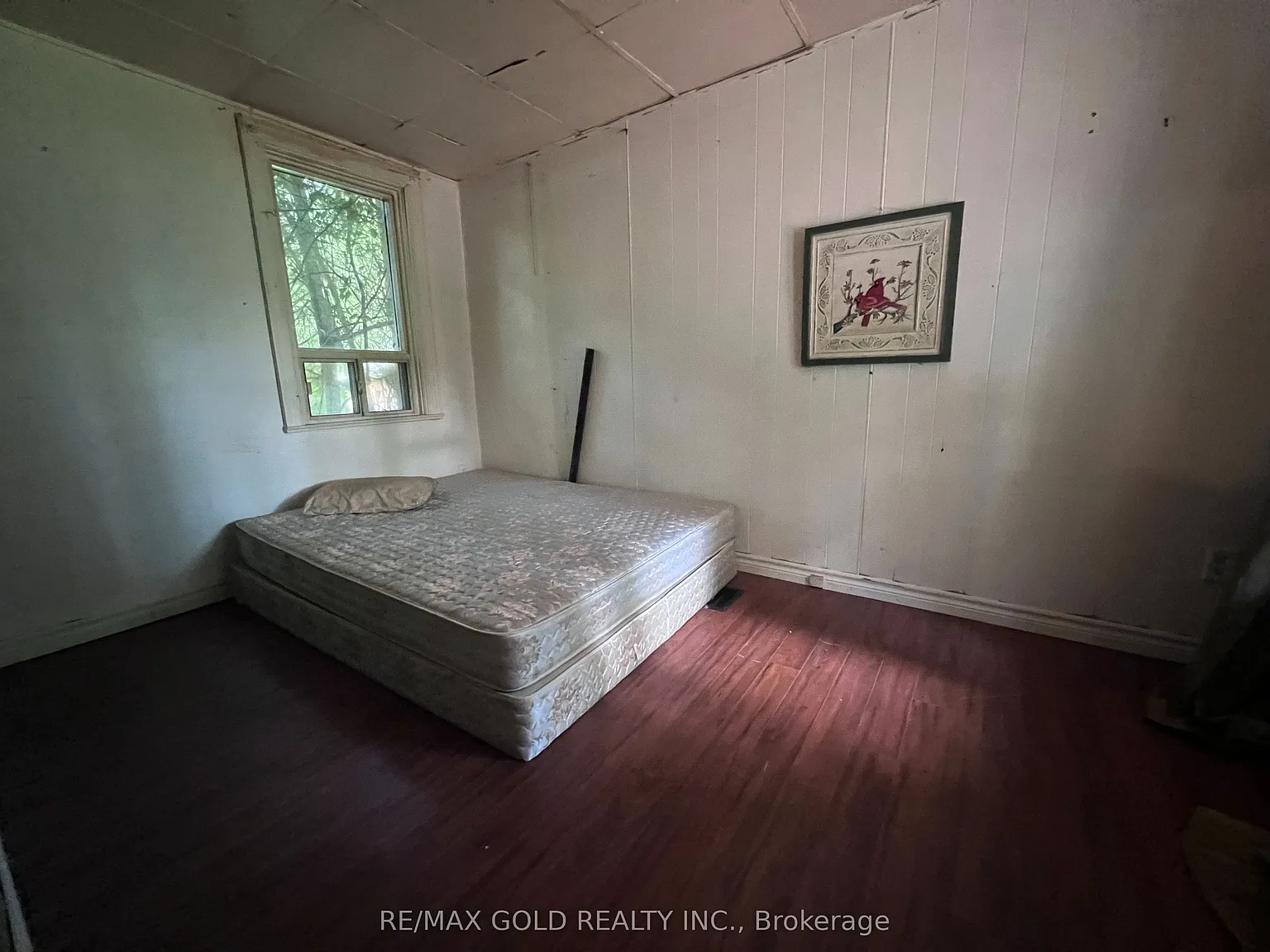 1 bed, $1,350 — Photo 4