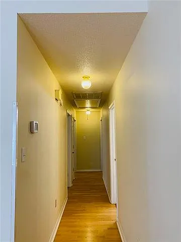 44458 Lato Ln — Photo 13