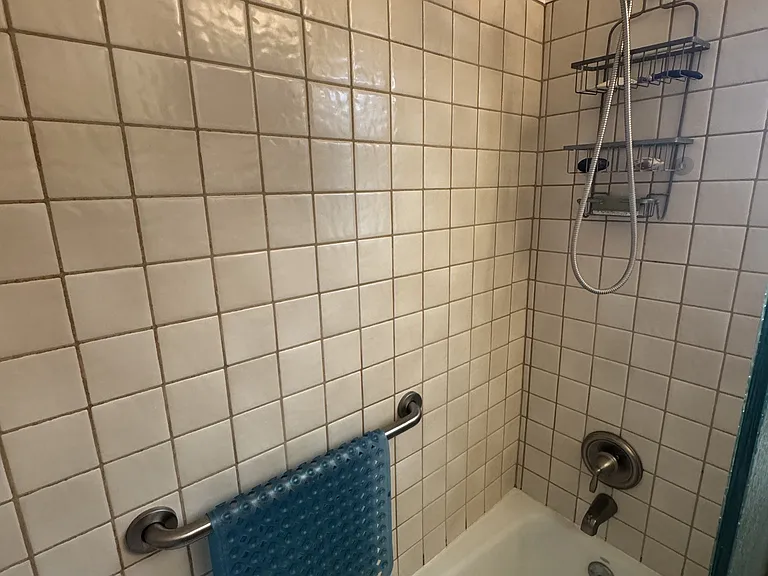 Shower Tub
