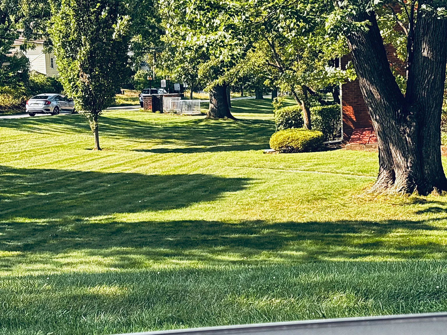 2 bed, 738 sqft, $2,500 — Photo 4