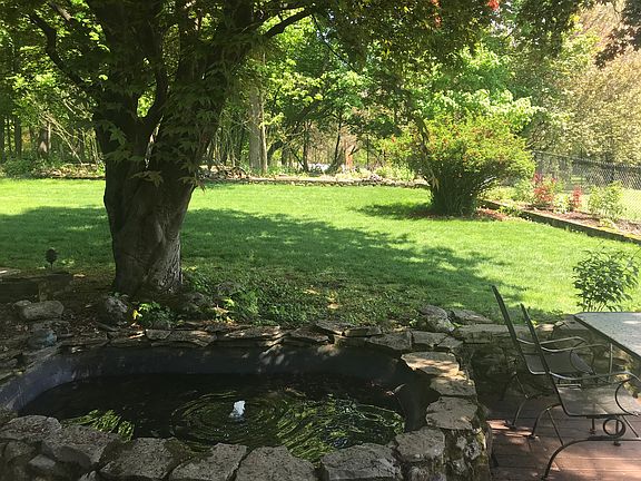 Koi Pond
