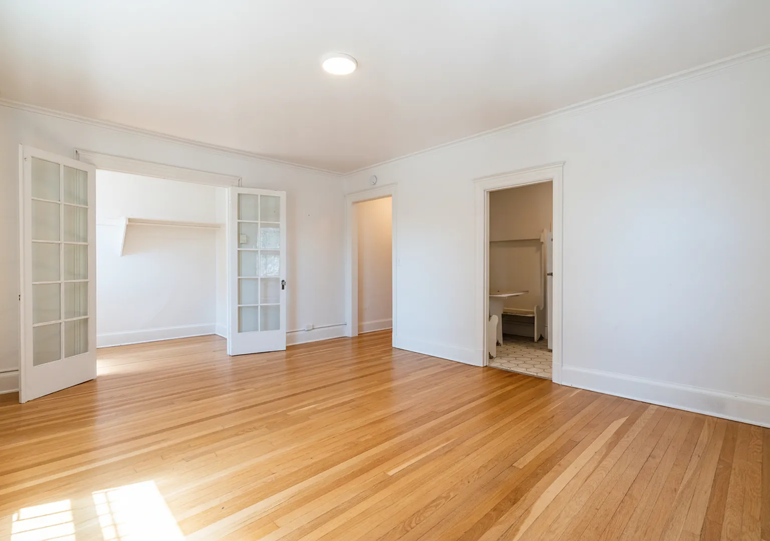 Campus Apartments 6 Weeks Free | Spacious Studio In Heart of the U District — Photo 3