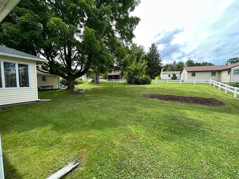 Back Yard 2