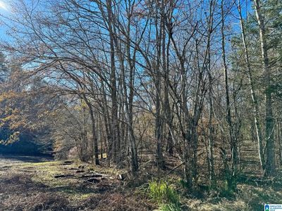 County Road 7 #0, Wedowee, AL, 36278