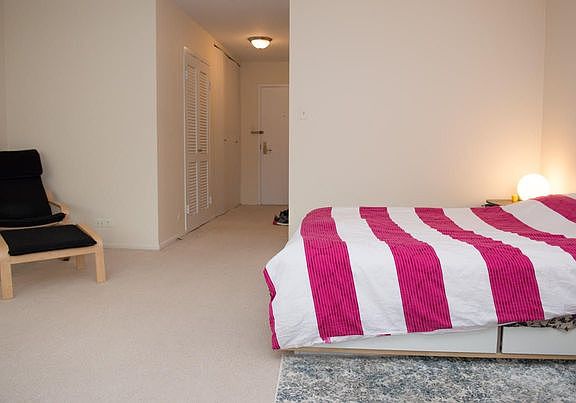 3rd image of 777 N Michigan Ave APT 2806