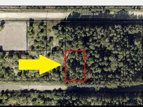 771 Kingfisher St SW, Palm Bay, FL 32908