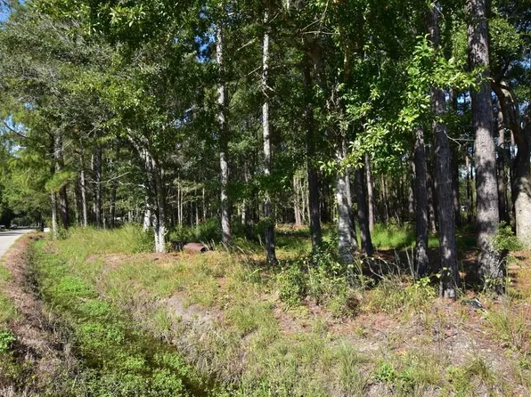 66299 Chris Kennedy Rd, Pearl River, LA 70452