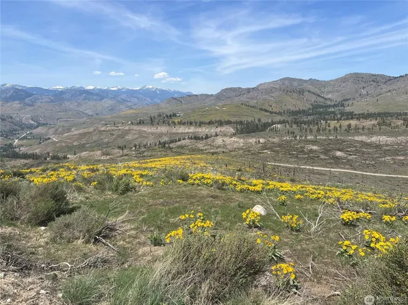 LOT 4 High Ranch Rd, Methow, WA 98834