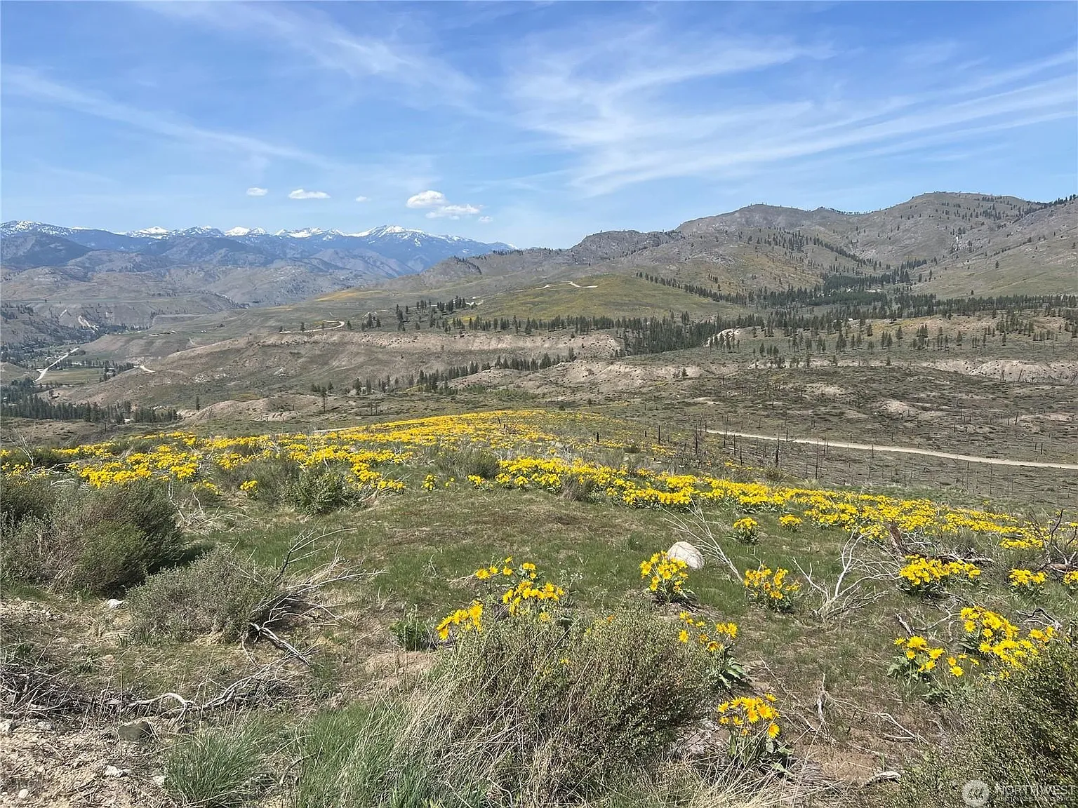 LOT 4 High Ranch Rd photo 1