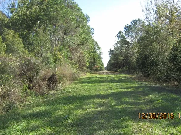 305 Carteret Rd, Georgetown, FL 32139