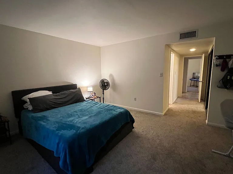 10367 S Del Rey Dr — Photo 20