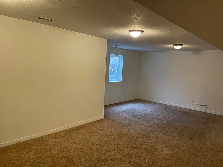 Basement Family Room