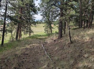 1379 S Mountain Estates Rd, Florissant, CO 80816