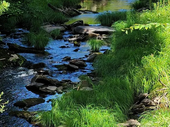 LOT 3.2 Buff Rd, Cochecton, NY 12726