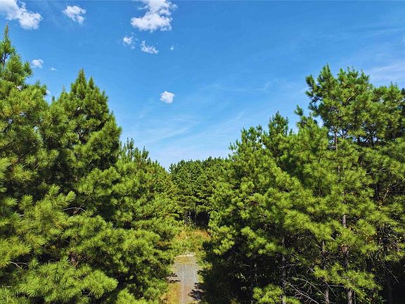 3rd image of 32 Wayward Pine Trl Lot 45