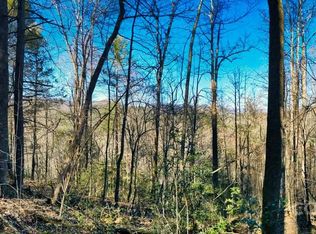 16 Bear River Lodge Trl, Marshall, NC 28753